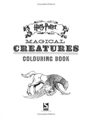 Coloring Book 96 Pages | CG105